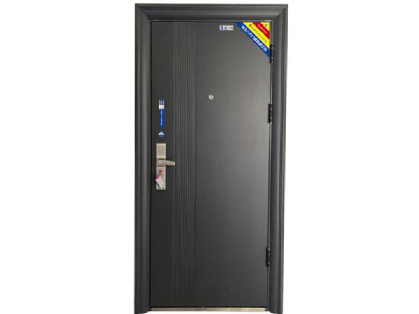 防火防盗入户门